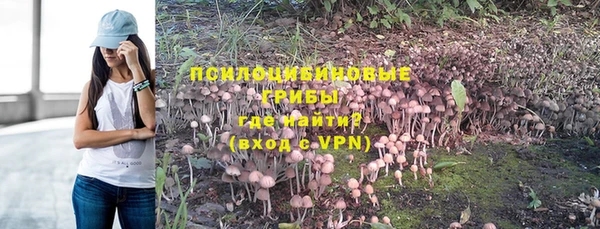 СК Зерноград
