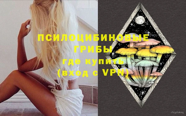 круглые Алзамай