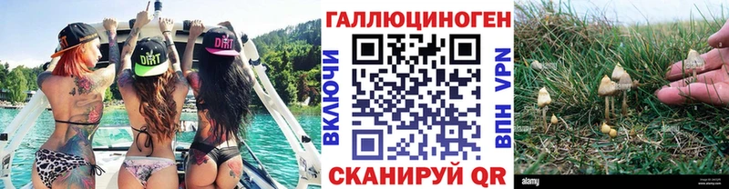 Галлюциногенные грибы мицелий блэк спрут рабочий сайт Заволжье купить наркоту