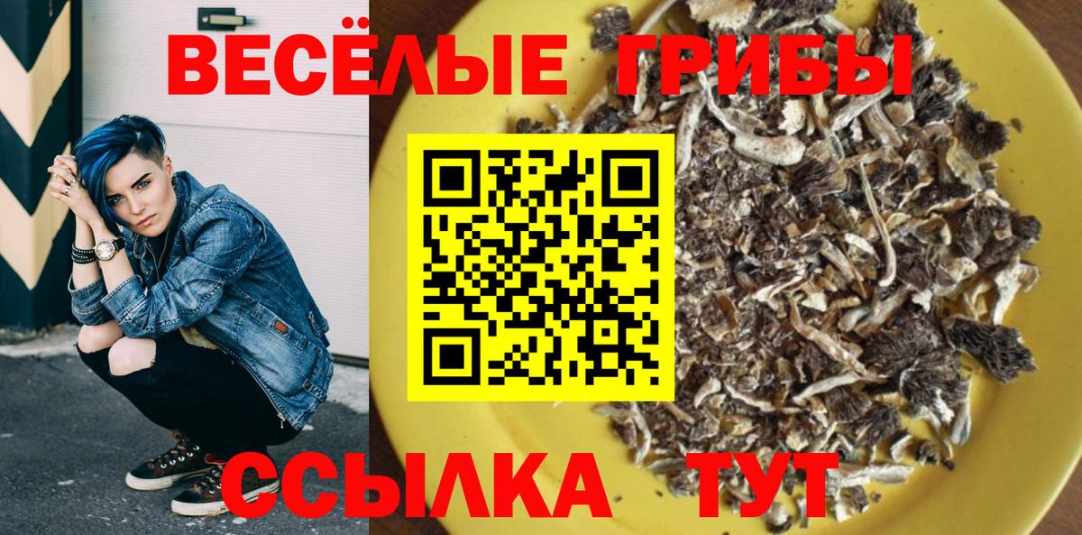Псилоцибиновые грибы Psilocybine cubensis  Вход с VPN  Заволжье  Псилоцибиновые грибы прущие грибы 